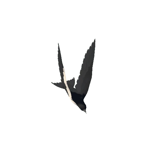 Low Poly Swallow 01